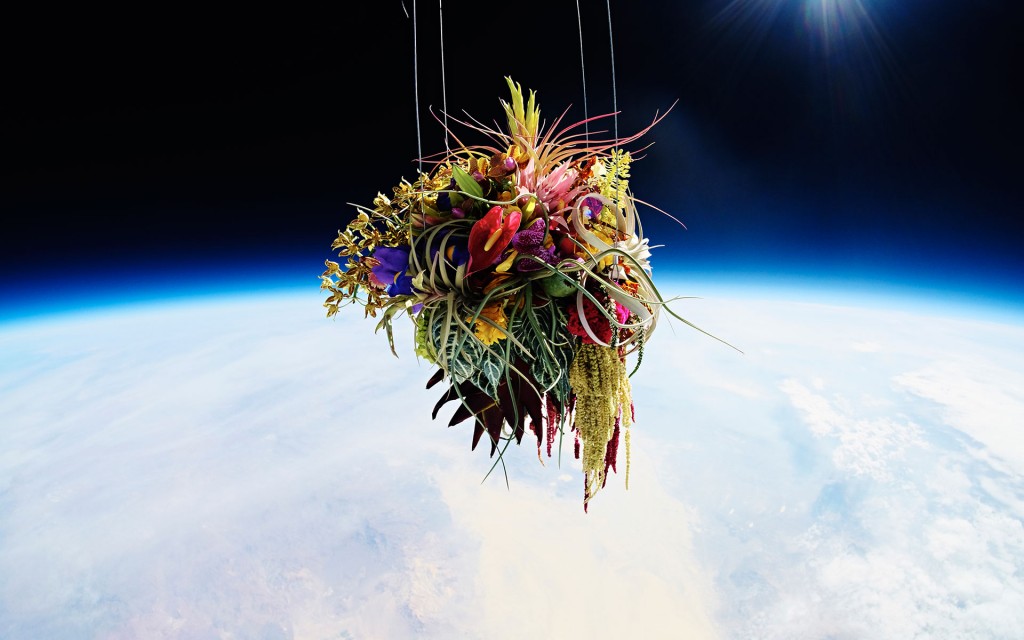 exobiotanica 1 Japanese Flower Artist Sends Plants Into Space for Breathtaking Photo Series