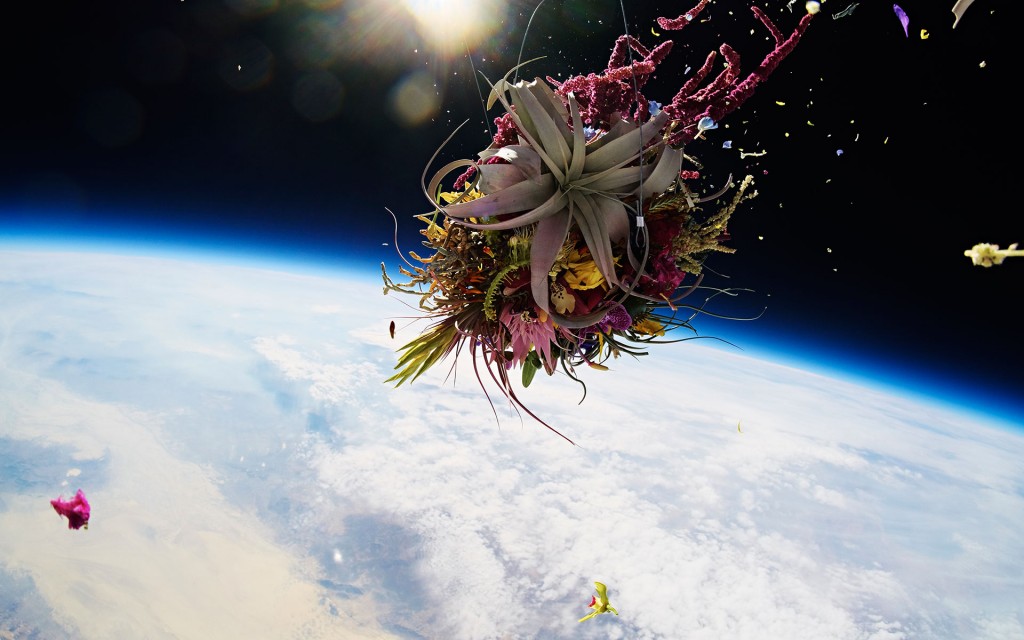exobiotanica 3 Japanese Flower Artist Sends Plants Into Space for Breathtaking Photo Series