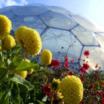 Eden Project: The World’s Largest Greenhouse