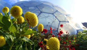 Eden Project: The World’s Largest Greenhouse