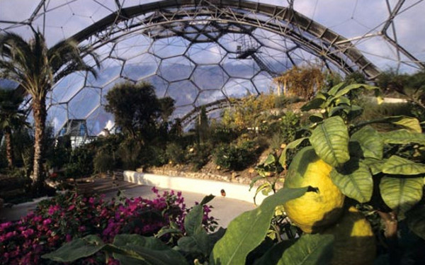 Eden Project World's Largest Greenhouse 5