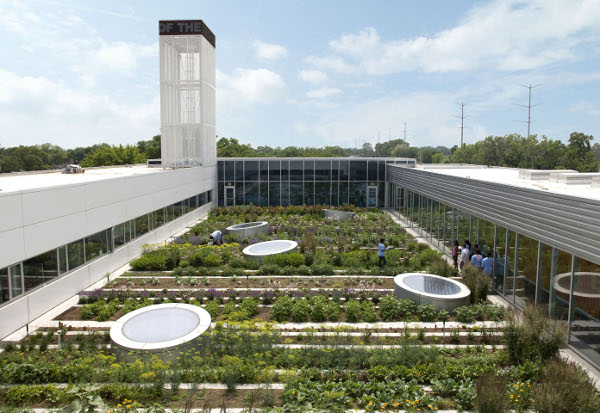 Youth Center Roof Garden in Chicago Illinois 1
