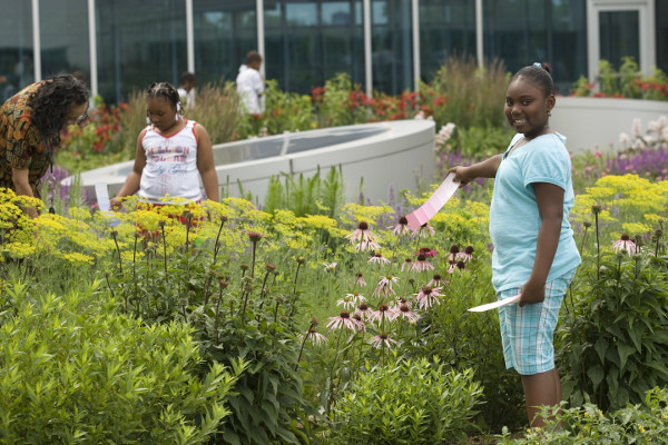 Youth Center Roof Garden in Chicago Illinois 6