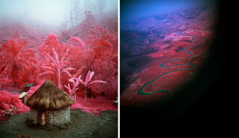 Infrared Conflict by Richard Mosse