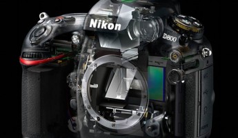 Nikon D800 Digital SLR Powerhouse