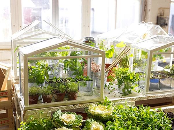 Ikea-Mini-Greenhouse by socker mini garden 1