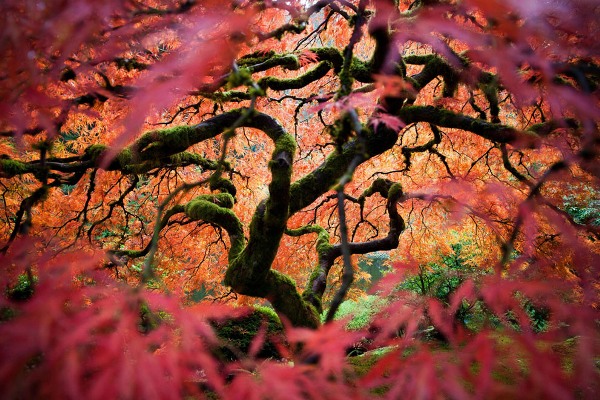 2012 national geographic photo contest winners merits viewers choice 8