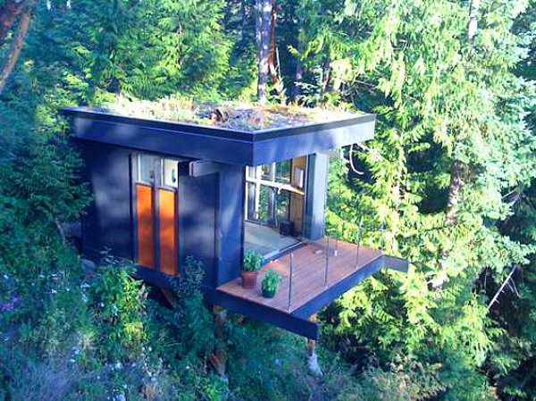 Treehouse Office