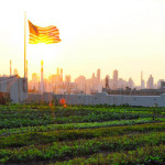 Rooftop Farming: the Next American Frontier