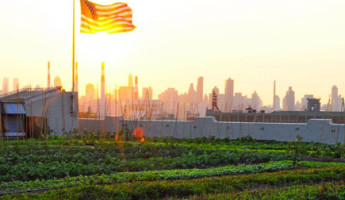 Rooftop Farming: the Next American Frontier