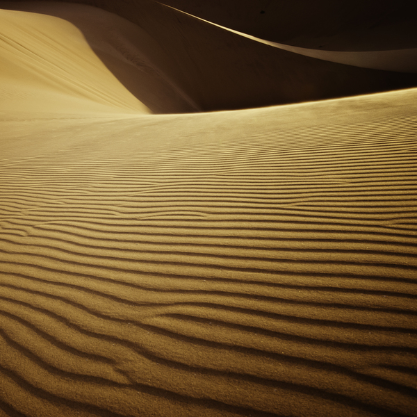 shawn van eeden dunescape landscape photography of namib desert 3