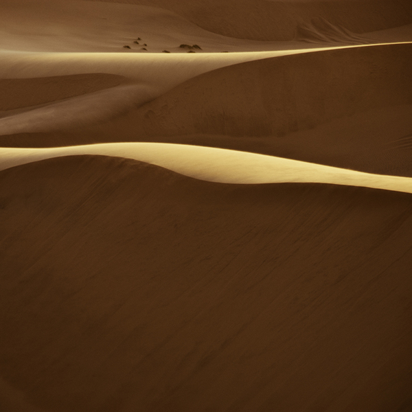 shawn van eeden dunescape landscape photography of namib desert 7