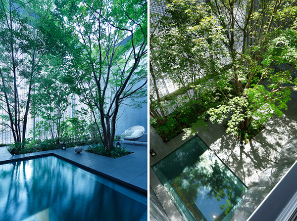 Optical Glass House by Nakamura and NAP 5