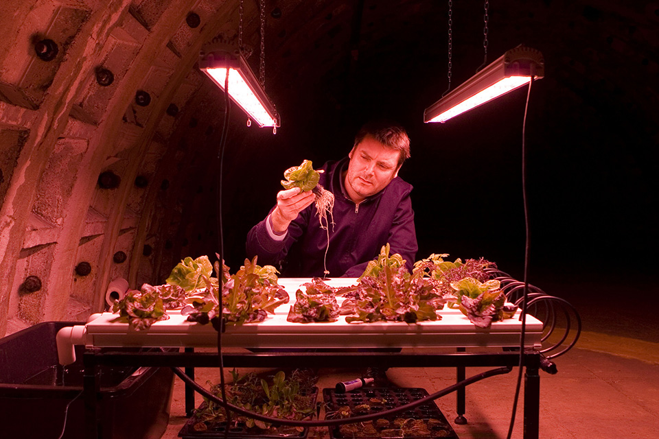 Zero Carbon Food 6 - Indoor Hydroponic Farming