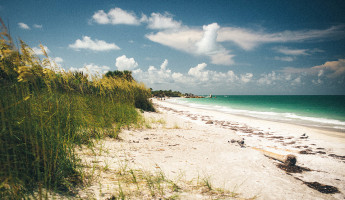 Abandoned Beach Forts of Florida - Egmont Key Beach