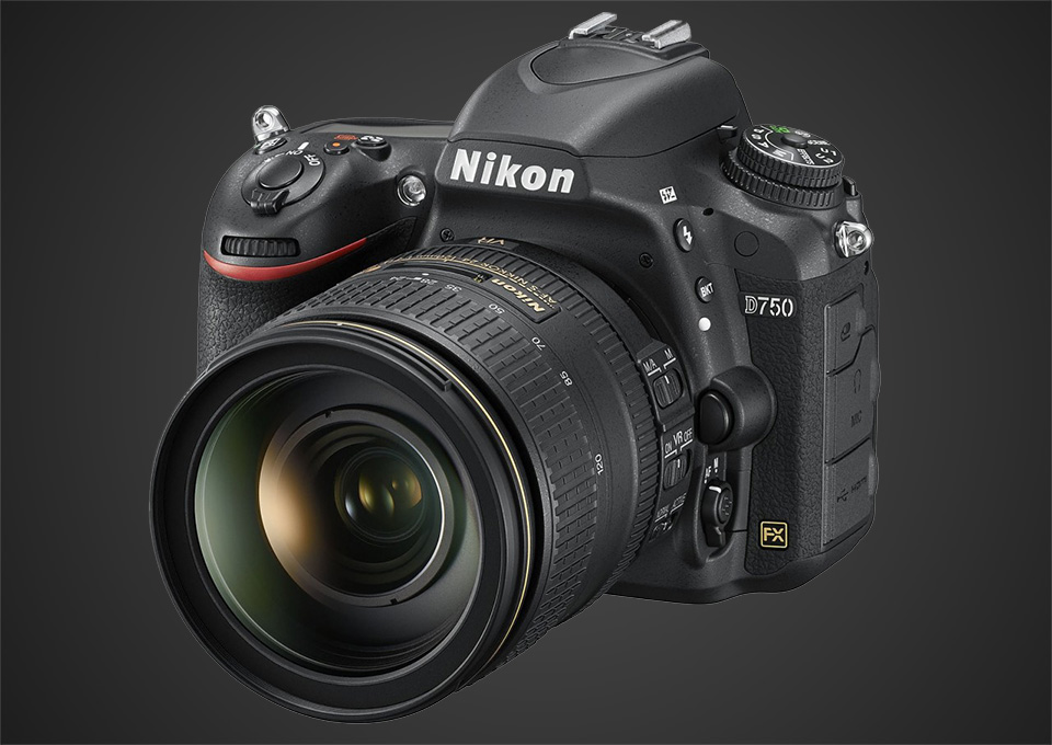 Travel Cameras 2015 - Professional DSLR - Nikon D750 - 1