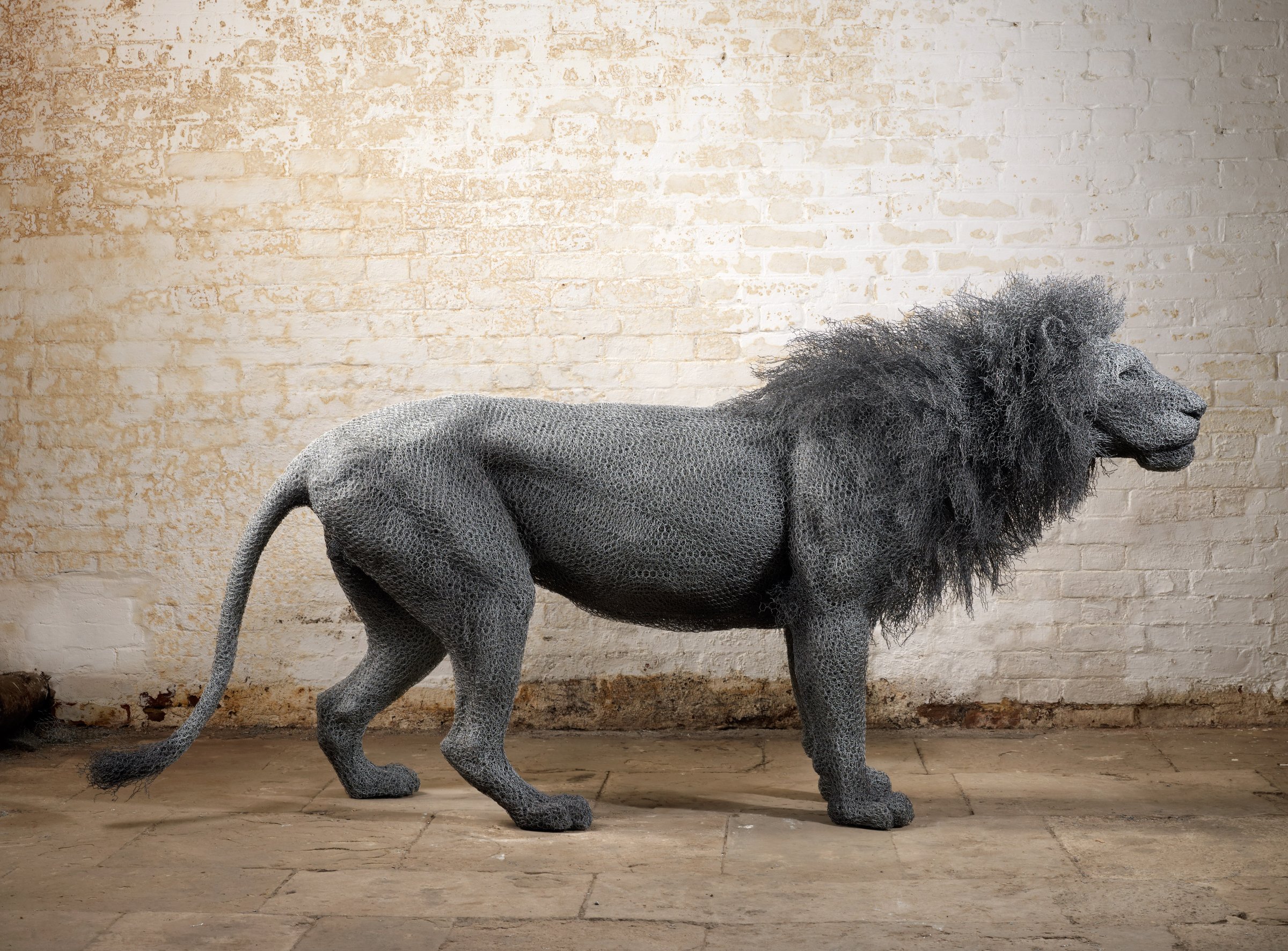 'Male Lion' by Kendra Haste - wire sculpture