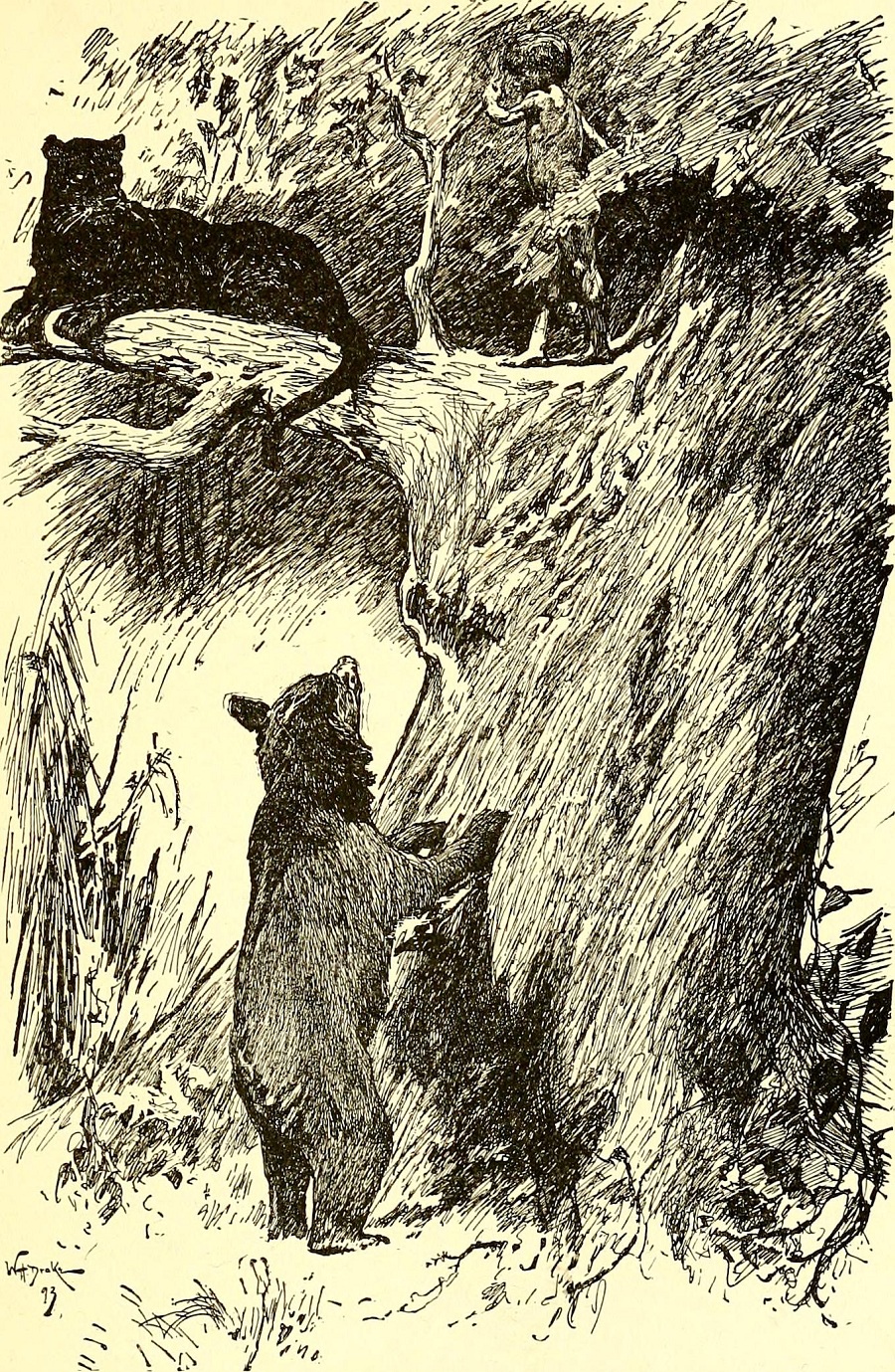 The_jungle_book_(1894)_kipling_the_coolist