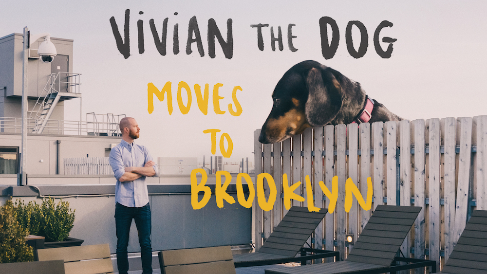 Vivian the Dog Moves to Brooklyn