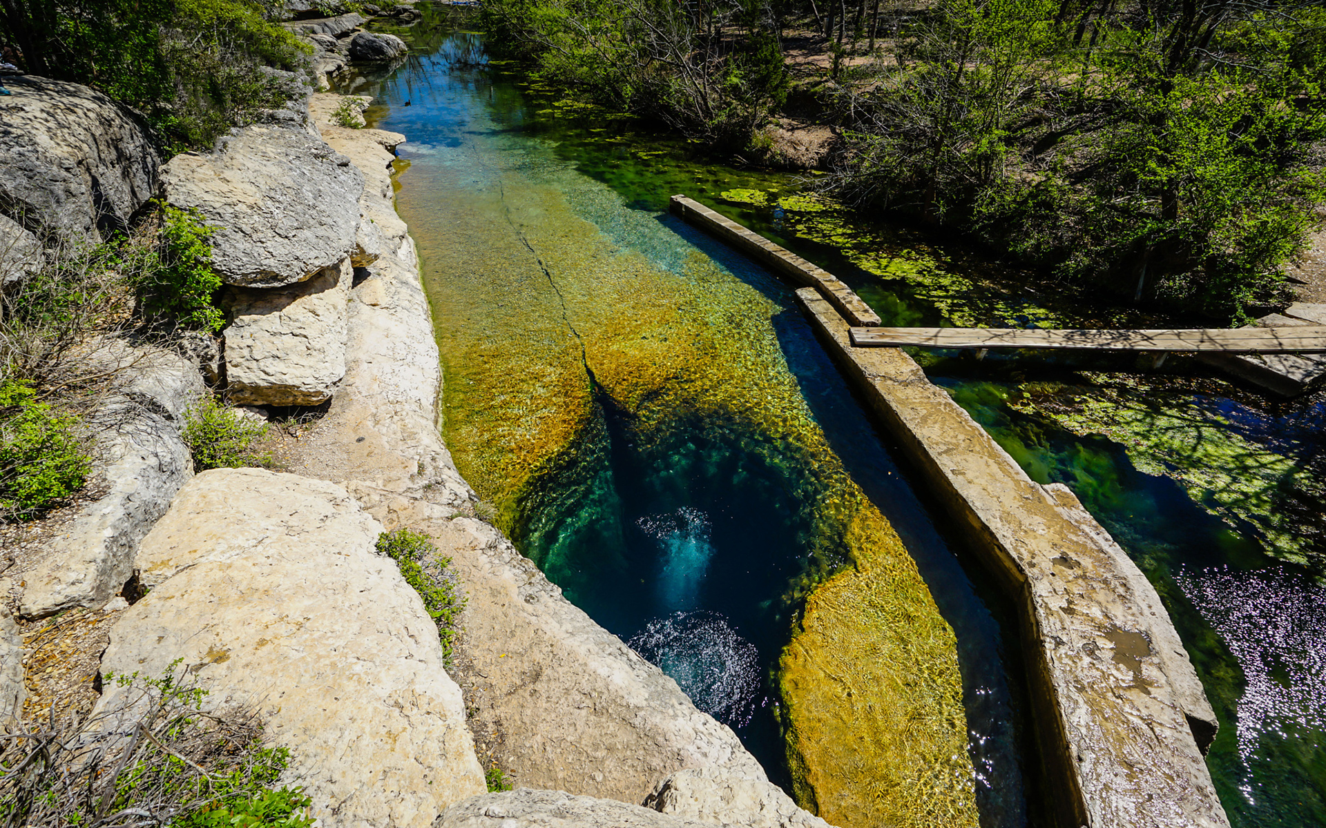 Jacob's Well, Texas - secret swimming holes