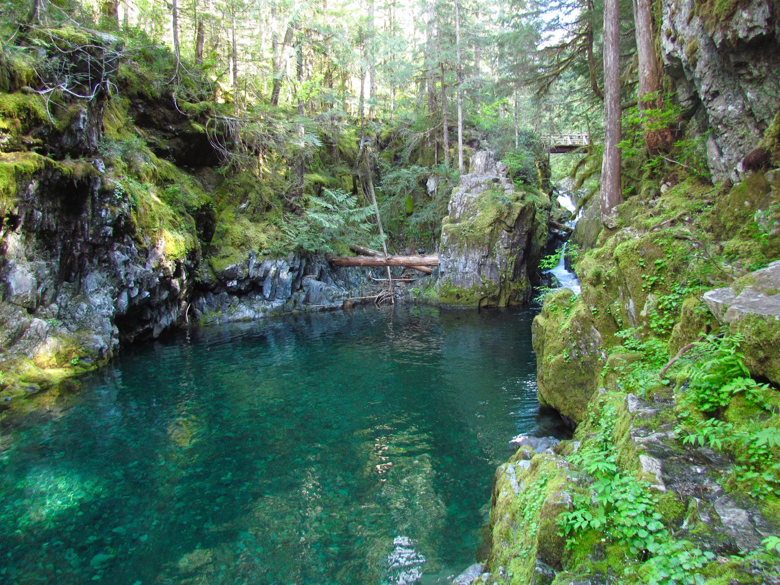 Opal Pool, Oregon - secret swimming hole