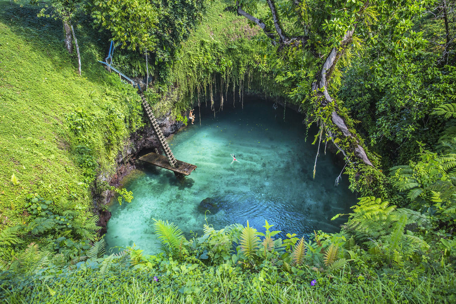 To Sua Ocean Trench, Samoa - secret swimming hole