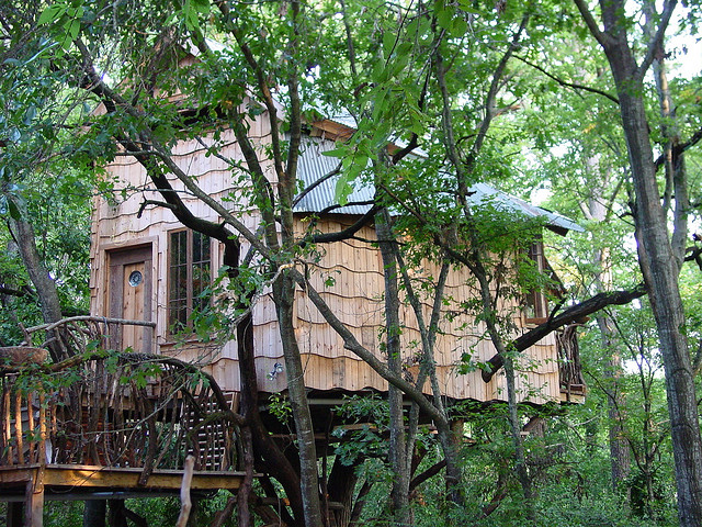 dan-phillips-treehouse-sustainable-diy-house