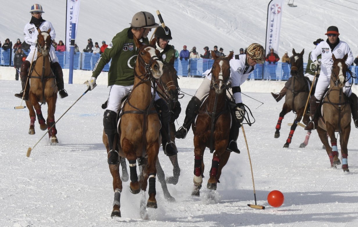 Snow Polo - winter sport