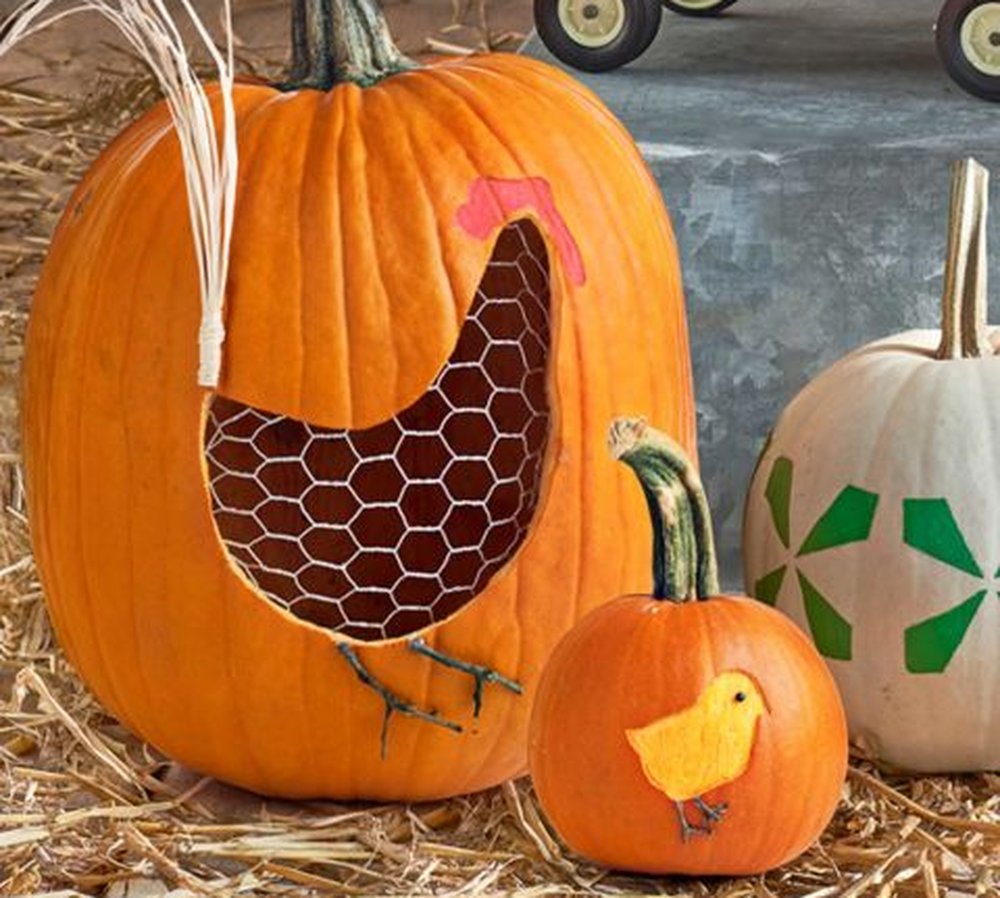 Chicken Wire - pumpkin carving halloween