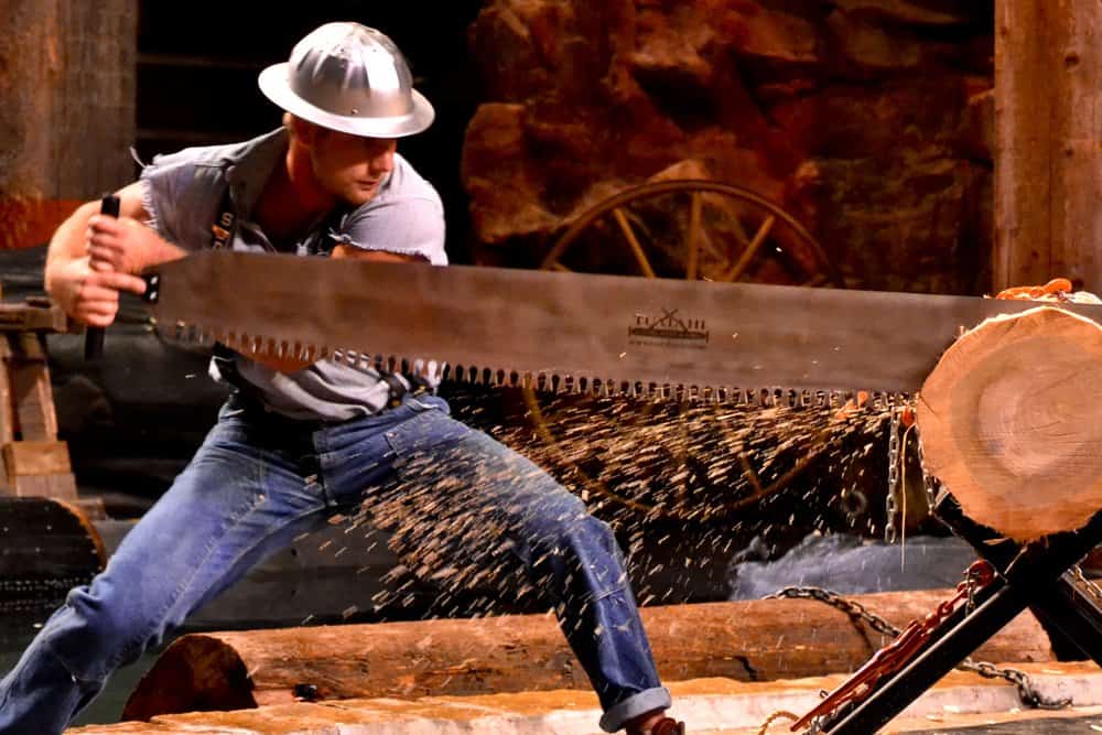 Lumberjack - dangerous job