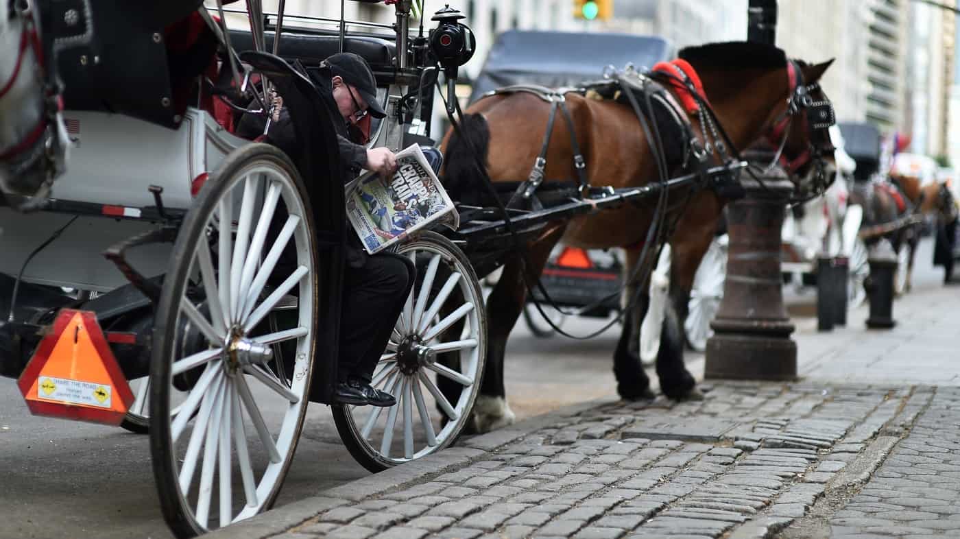 horse-carriage
