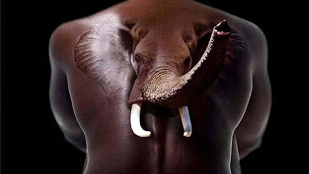 A pop-up 3D elephant tattoo