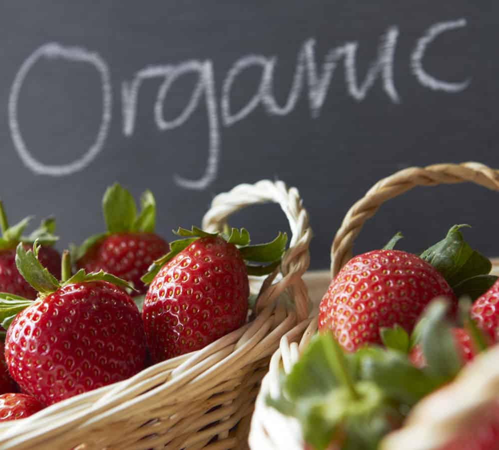 Organic Foods Are Healthier - science myth