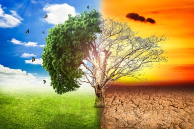10 Doomsday Scenarios That Are Already Happening