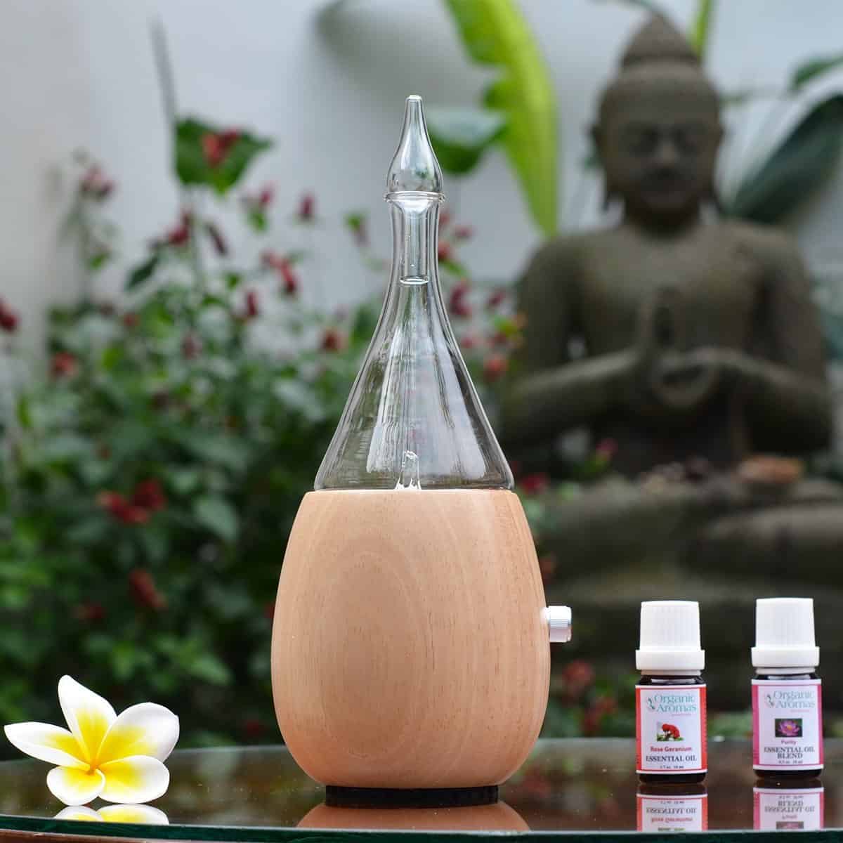 Organic Aromas Raindrop - essential oil diffuser