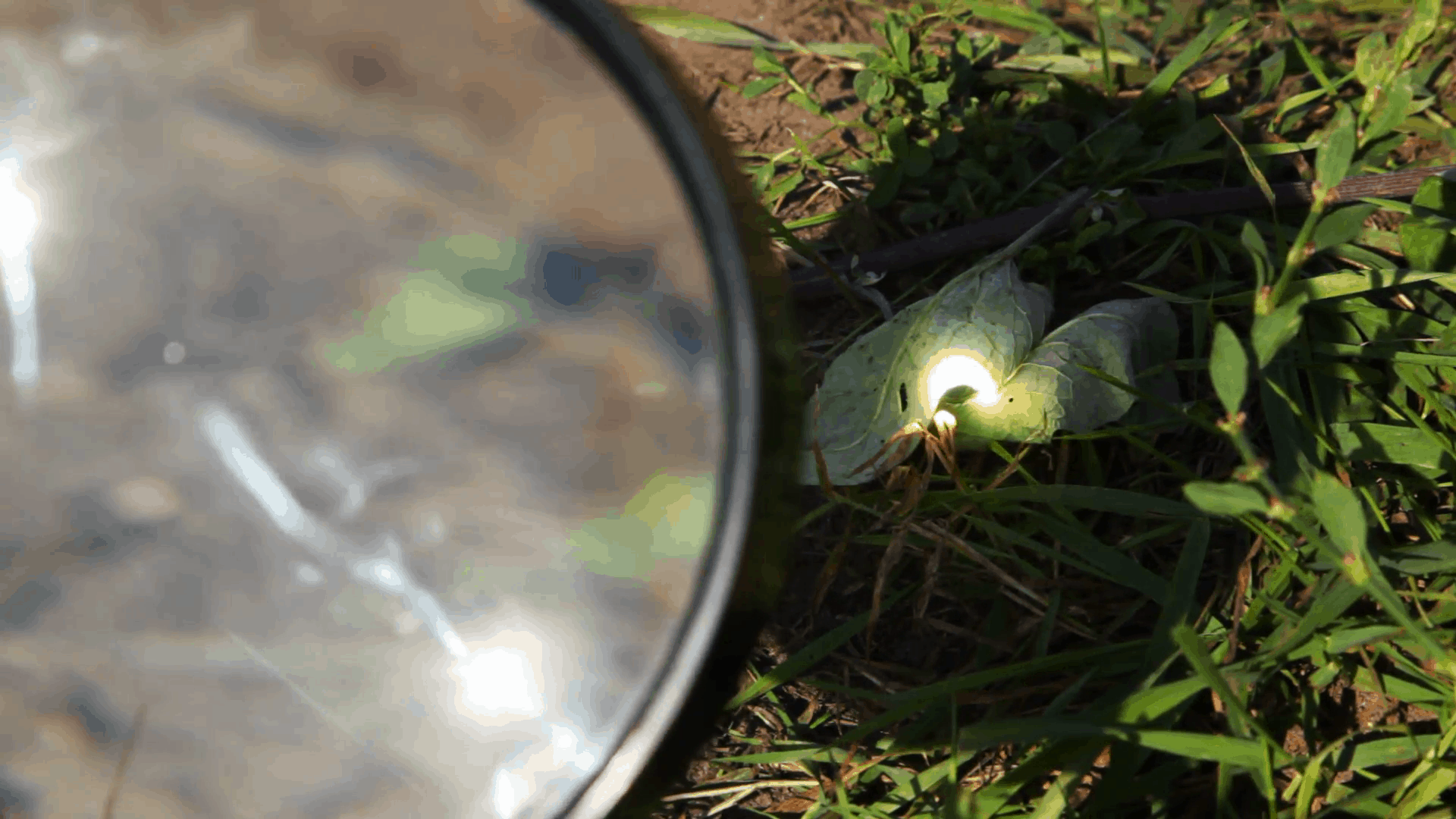 Magnifying Glass Other Lens - start a fire