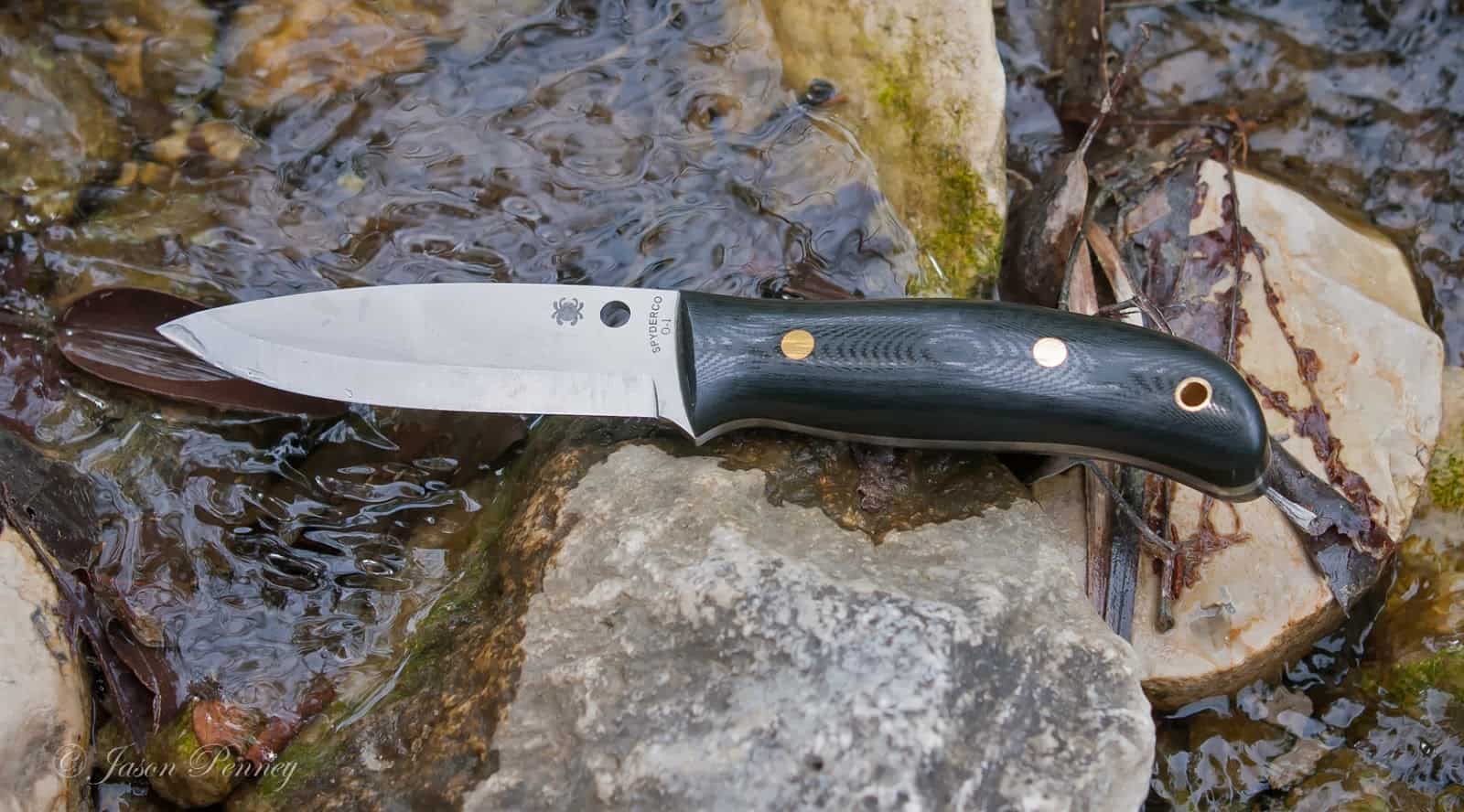 Spyderco Bushcraft Knife