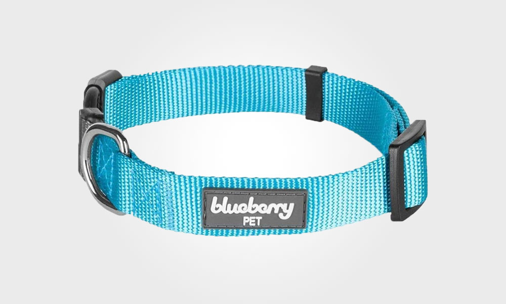 Blueberry Pet 12 Colors Classic Dog Collar