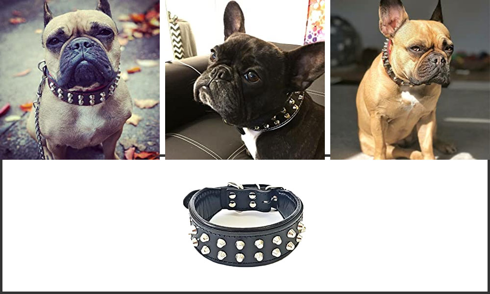Bestia Rocky Studded Dog Collar - Hand Made