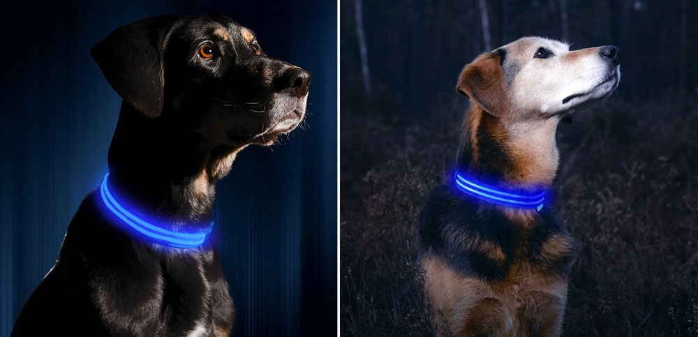 Illumiseen LED Dog Collar - USB Rechargeable