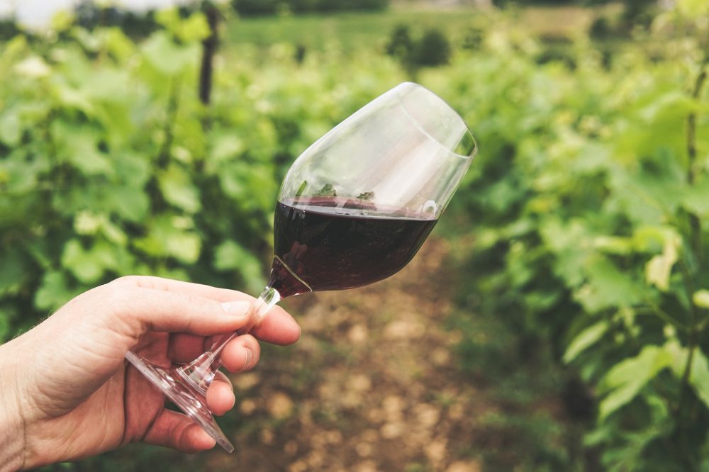 Drinking wine at a vineyard - Vineyard date