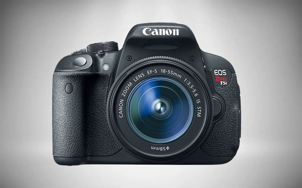 Canon EOS Rebel T5i for Bird Photography