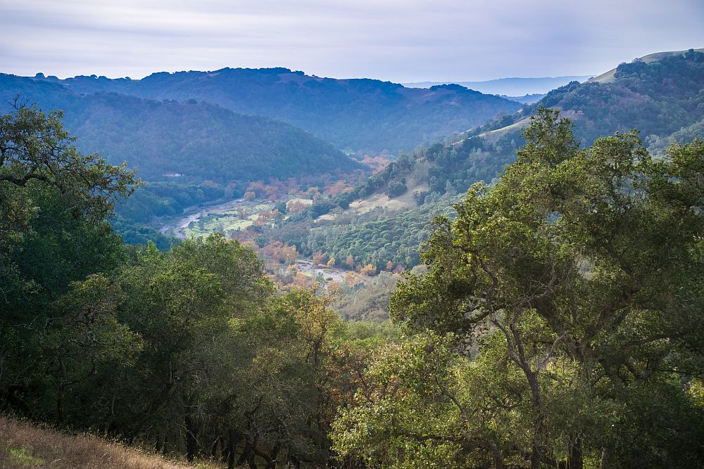 Henry W. Coe State Park - trails and hikes