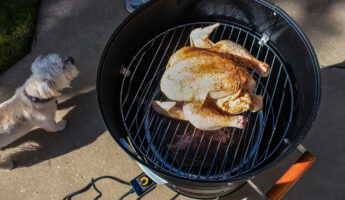 Best Electric Smoker - Whole Chicken