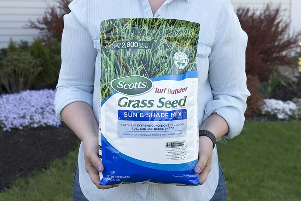 Different Types of Grass - Lawn Seeds