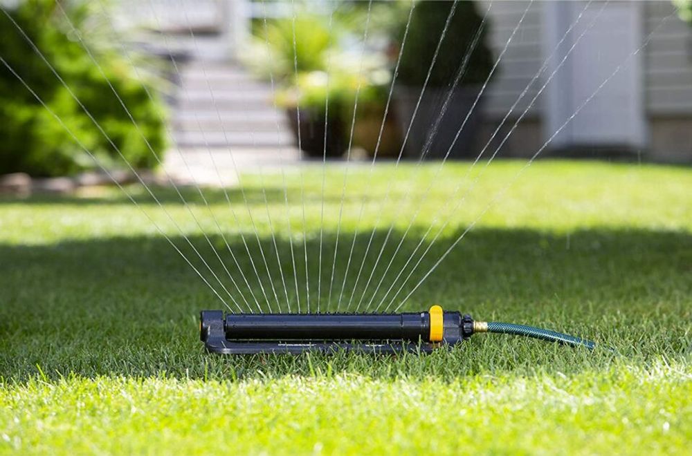 Different Types of Grass - Melnor Sprinkler