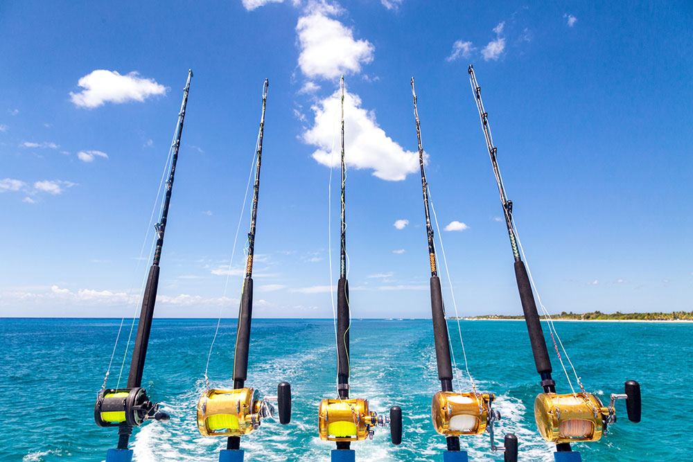 Types Of Saltwater Fishing Reels