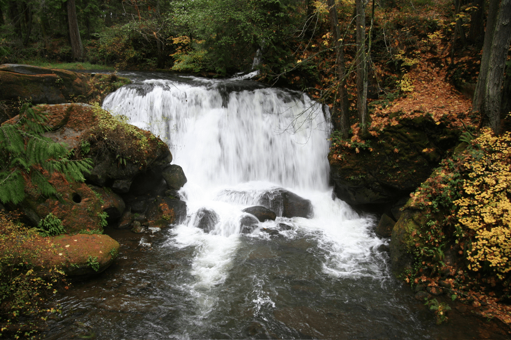 Beautiful Places in Washington - Whatcom Falls Park
