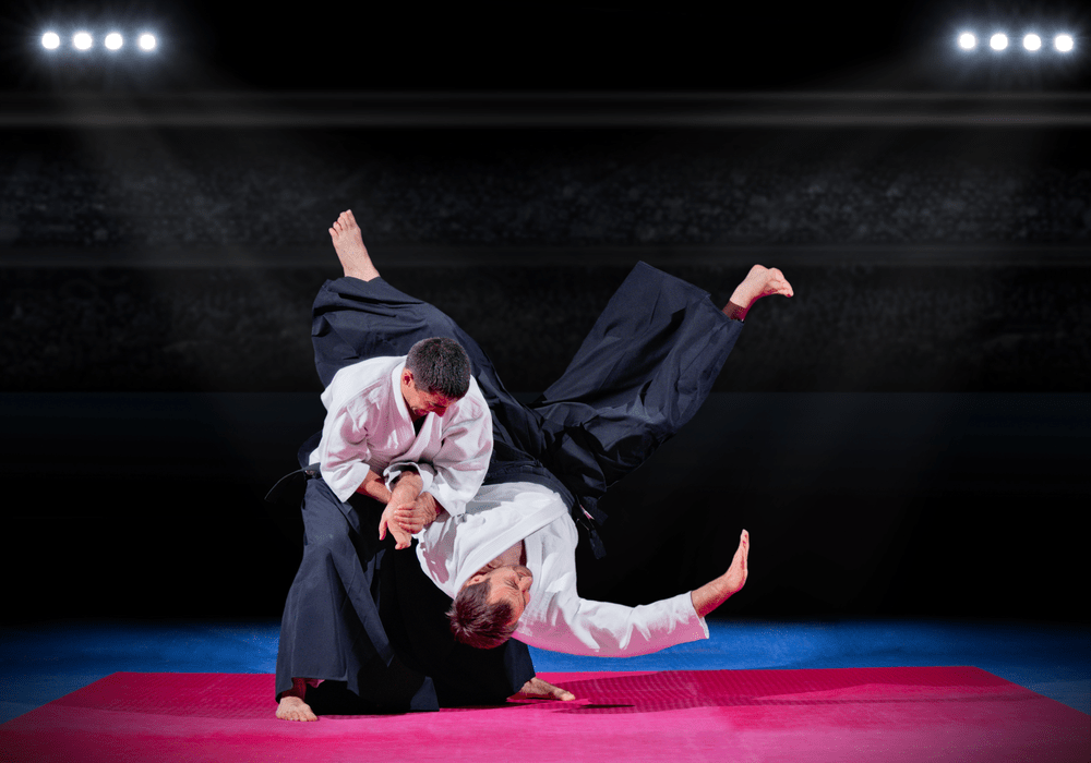 Types of Martial Arts - Aikido
