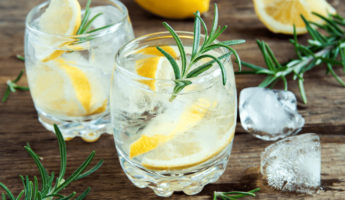 Best Types of Gin